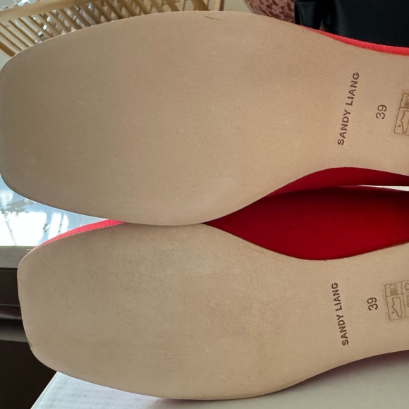 MARY JANE BALLET FLAT - Sandy Liang - Picture 5 of 6